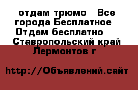 отдам трюмо - Все города Бесплатное » Отдам бесплатно   . Ставропольский край,Лермонтов г.